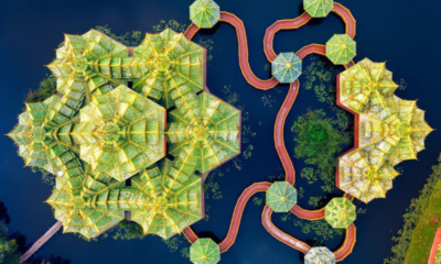 kdarchitects landscape ideas by roger morph