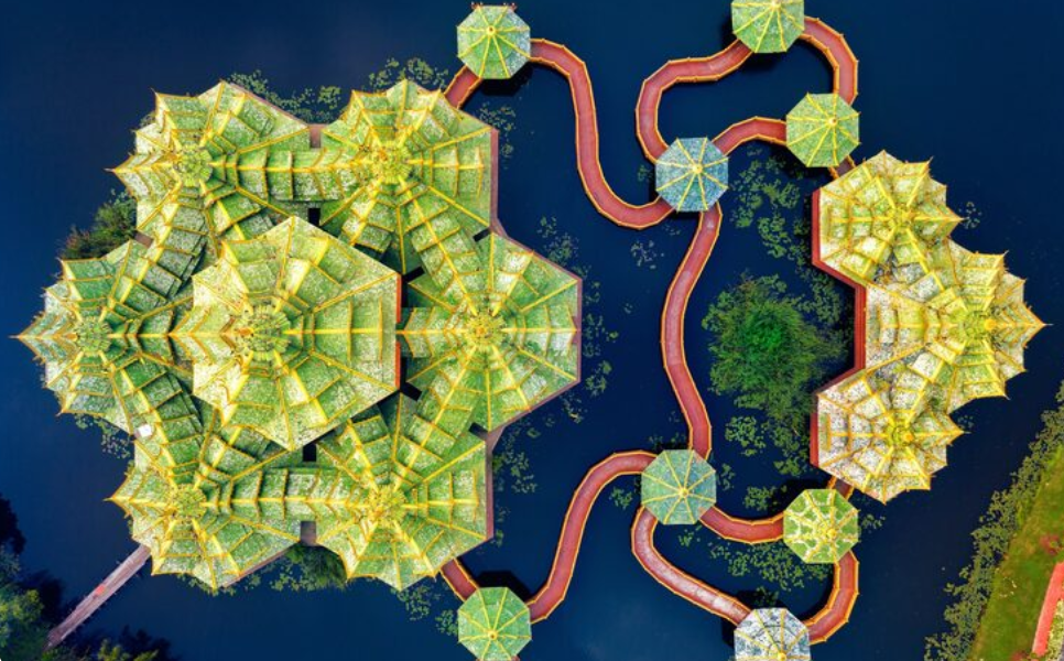 kdarchitects landscape ideas by roger morph